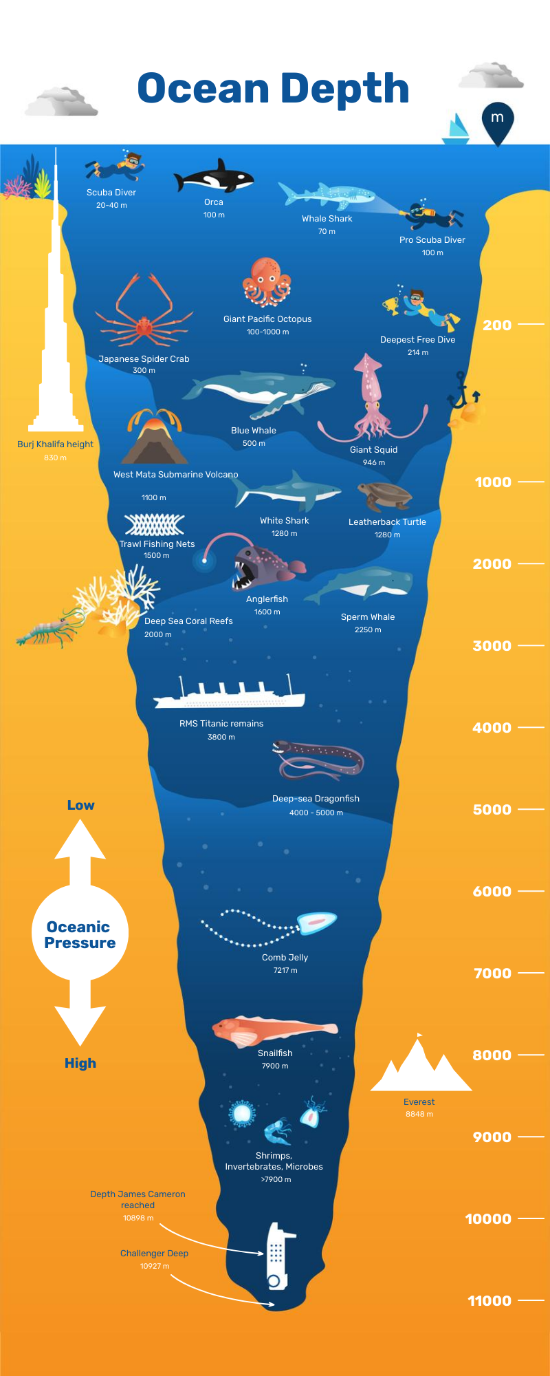 Infographic viral content