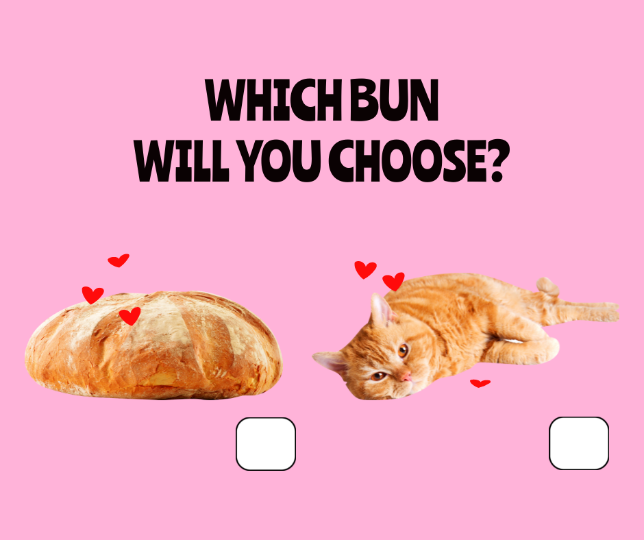 Quizzes viral content